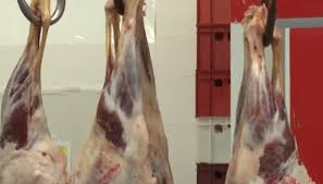 Jul 28, 2016 · dovlecei pane reteta simpla si rapida. Romanii RÄman FÄrÄ Carne De Miel De PaÈte AutoritÄÈile Au Interzis Vanzarea De Animale Vii Antena 1