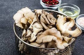 We did not find results for: Growing Mushrooms At Home An Interview With Tradd Cotter