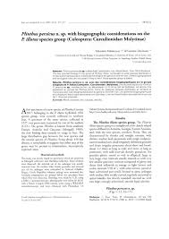 Image result for Plinthus