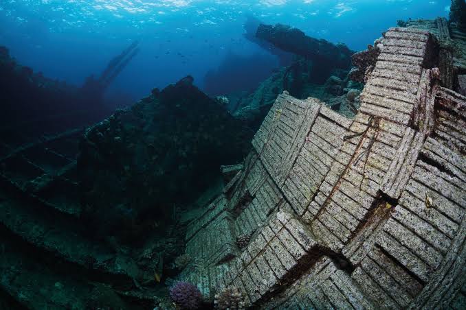 Egypt's Graveyard: Diving in the Deep Sea Shipwrecks