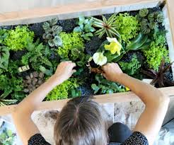 The Whoot Terrarium Table Coffee Table Terrarium Succulents Diy