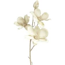 Blue and white tulips (not glued in so flowers could be changed for seasons!) in a blue/ white color glass attached to wood. Pier One Faux Magnolia Stem Taupe 5 95 Liked On Polyvore Magnolia Magnolia Home Decor Floral Decor