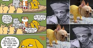 Sản phẩm cao sao vàng được dùng trong: áº£nh Cháº¿ Tam TÆ° Cá»§a Cáº­u Vang Khi Bá» Biáº¿n Thanh Giá»'ng Shiba Inu Netizen Viá»t Giáº£i Tri