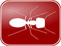 Abolish pest control is a small team of dedicated pest control specialists that provides service to auckland, north shore and south auckland. Dependable Termite And Pest Control East Cobb County Pest Control