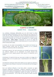 Check spelling or type a new query. Tallage Du Riz