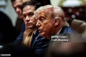 4,082 Corum Gathering Stock Photos, High-Res Pictures, and Images