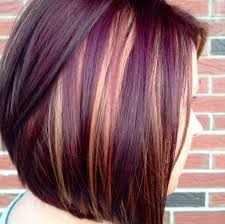Keep dark purple hair and blue highlights in the bottom half of your layered black locks to allow them to peek out and not overpower your mane. Blonde And Dark Purple Highlights Novocom Top