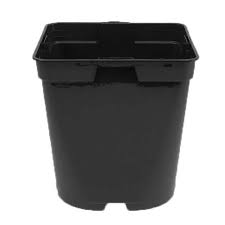 We did not find results for: 1 Litre Square Black And Round Plastic Plant Pot Spd Fife