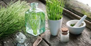 Apple cider vinegar for varicose veins ] Curing Spider Veins With Home Remedies Do They Really Work Lexington Vein Institute