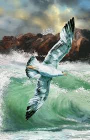 Zeichne Eine Mowe Im Flug In Gouache 9 Tausend Hendrika Blignaut Blignaut Eine Flug Gouache Hendrika Im Mowe Soyut Resim Resim Sanati Resimler