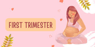 Image result for First Trimester Education