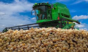 images?q=tbn:ANd9GcSjvtn8upZf1pl9hPDeSRYiLyTHx3MhIVQyjg&s