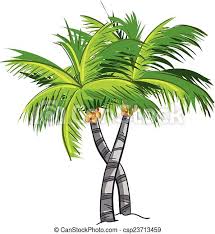 Affordable and search from millions of royalty free images, photos and vectors. Coconut Tree Illustrations And Clip Art 26 089 Coconut Tree Royalty Free Illustrations And Drawings Available To Search From Thousands Of Stock Vector Eps Clipart Graphic Designers