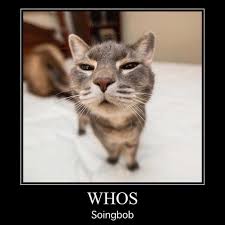 Pin By Tax Evader On Fire Trucks And Moster Trucks Haha Funny Great Memes Cat Memes