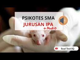 Maybe you would like to learn more about one of these? Psikotes Sma Jurusan Ipa Dengan Pembahasan Audio Lagu Mp3 Mp3 Dragon