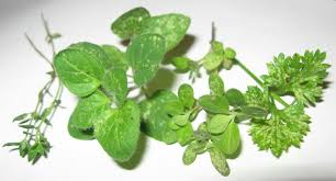 My mint plant has been getting white spots with black small dots all over it. Gardenerd Organic Edible Gardening Ask Gardenerd Spots On My Herbs