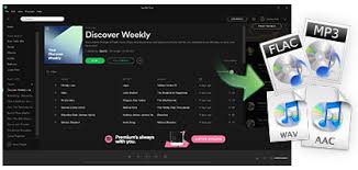 It can bypass the drm from spotify and convert songs from spotify to mp3, m4a, etc. Sidify Music Converter Free A Free Spotify Music Converter
