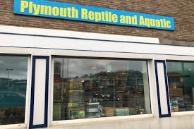 Aquatic pet shop, ahmedabad, india. Plymouth Reptile And Aquatic Pet Shop Travel Guidebook Must Visit Attractions In Plymouth Plymouth Reptile And Aquatic Pet Shop Nearby Recommendation Trip Com