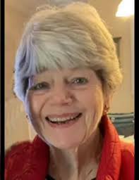 Sue Lepisto Obituary (2024)