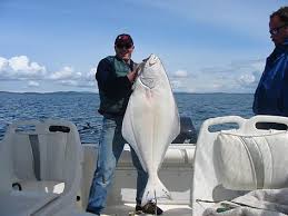 Key West Fishing Http Www Fishkeywest Com Key West Fishing Calendar Sea Fishing Vancouver Island Key West Fishing