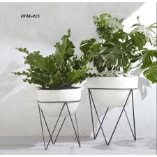 Modern plant stand this modern plant stand is perfect for indoors but with a change in tiered corner plant stand build a tiered corner plant stand using the free woodworking tutorial at the link. Triangular Leg Modern Plant Stand At Rs 600 Unit Garden Plant Stand Id 21520147612