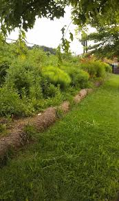 Maybe you would like to learn more about one of these? Getting Rid Of Your Lawn Follow Our Plan For A Beautiful Garden And Happy Neighbors My Green Montgomery My Green Montgomery