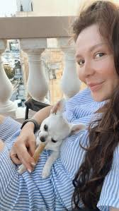 Australian Cattle Dog Puppies for Rehoming in Malabar