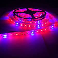 Red and blue grow lights. Yard Garden Outdoor Living 1 2 3 5m 5050 Led Grow Lights Strip Lamp Red Blue For Indoor Plant Greenhouse Hydroponics Seed Starting