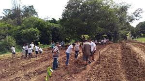 Santa rita do passa quatro (nn); Estacao Experimental De Santa Rita Do Passa Quatro Recebe Plantio De Mudas Nativas Governo Do Estado De Sao Paulo