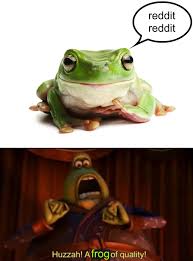 Terrarium gray water tadpoles food treefrog treefrogs species froglets feed. Very Nice Frog Meme