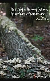 Woods Quote Into The Woods Quotes Wood Quotes