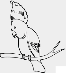A bird coloring book you can print out and color in. Umbrella Bird Coloring Page Bee Coloring Pages Lego Coloring Pages Bird Coloring Page