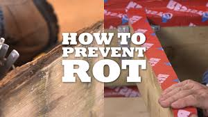 Check spelling or type a new query. How To Prevent Rot And Attach Joists Youtube