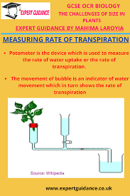 Maybe you would like to learn more about one of these? Gcse Ocr Biology The Challenges Of Size In Plants Measuring Rate Of Transpiration Complete Revisi Gcse Biology Revision Biology Revision Biology