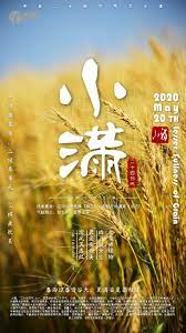 小满 二十四节气之一 movie posters poster movies
