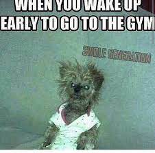 At memesmonkey.com find thousands of memes categorized into thousands of categories. Gingerpuff1 Gym Memes Funny Gym Memes Gym Humor