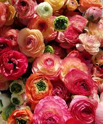 Flowers by debbie bluefield va. Home Bee S Wing Farm