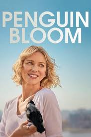 Penguin bloom released in (2021) produced by united states of america, the movie categorzied in drama. Watch Penguin Bloom Online Free Full Movie 123movies
