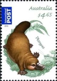 Duck Billed Platypus Ornithorhynchus Anatinus Australia Stamp Australian Animals