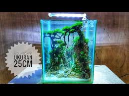 93 Membuat Aquascape Ukuran 25cm Model Tebing Dan Pepohonan Subtitle English Youtube Di 2020 Aquarium Ikan Planted Aquarium Pohon