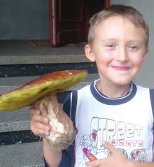 Prokuratura oskarża radnego powiatu