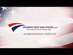 Best pest control service near montgomery village. Bucks County Pa Pest Control Patriot Pest Solutions