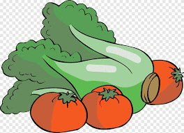 Beberapa jenis sayuran dapat dikonsumsi mentah tanpa diolah terlebih dahulu (lalapan), sementara jenis sayur lainnya harus diolah dengan cara direbus, dikukus, digoreng atau disangrai. Vegetable Chinese Cabbage Cartoon Cartoon Tomatoes And Cabbage Cartoon Character Comics Png Pngegg