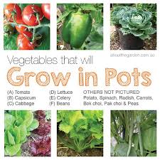 With the current pressure on pollinator populations due to habitat loss, pesticide exposure the best flowers for blueberries. How To Grow Organic Vegetables In Pots About The Garden Magazine