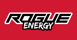 Image result for rogue