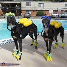 100 Creative Diy Costume Ideas For Dogs Dog Halloween Pet Halloween Costumes Dog Halloween Costumes