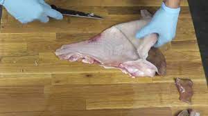 How To Fillet A Skate Wing - Butchering A Skate Wing - How To Clean A Skate  Fish - Youtube