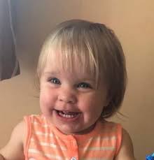 The Gracie Foundation