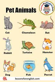 This represents perhaps the most complete picture of the most common names in the united states. 1000 Pet Animals Names Definition And Example Sentences Dog Cat And Others Lessons For English