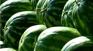 Украинские арбузы побили ценовые рекорды - Версия для печати ...